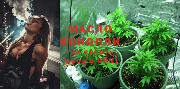 дживик Абинск