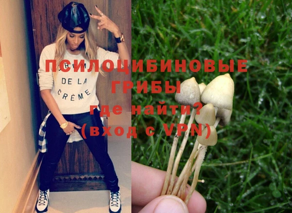 а пвп мука Новозыбков