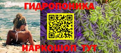 дурь Новозыбков