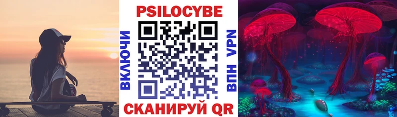 Галлюциногенные грибы MAGIC MUSHROOMS  наркотики  Сальск 