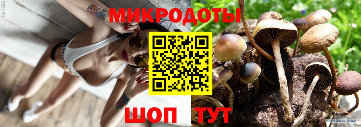 Галлюциногенные грибы Psilocybine cubensis  Псилоцибиновые грибы ЛСД  Вход с VPN  Сальск 